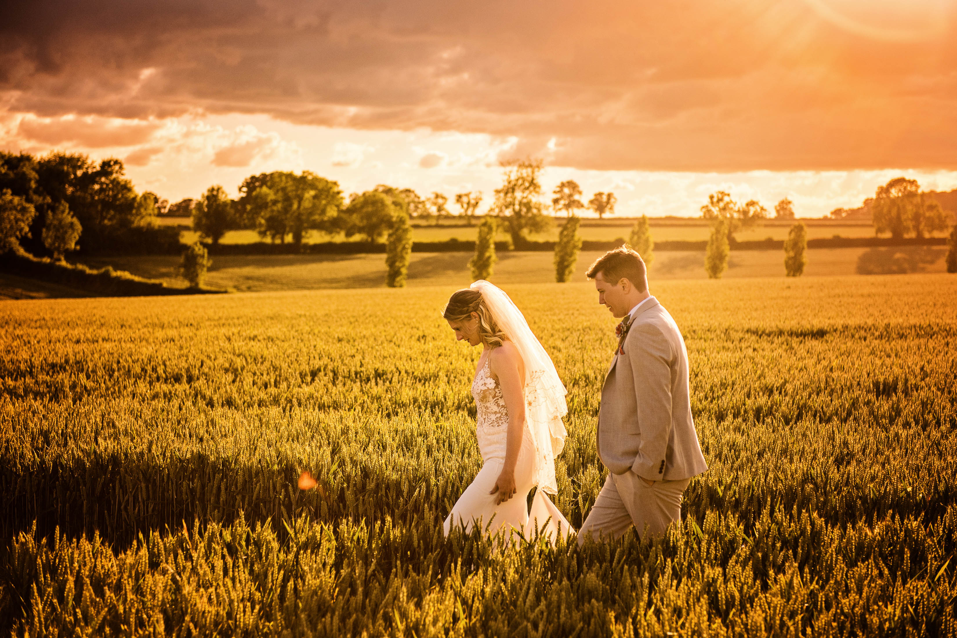 Bride and groom, walk through a wheat field, with a mega sunset behind them. 