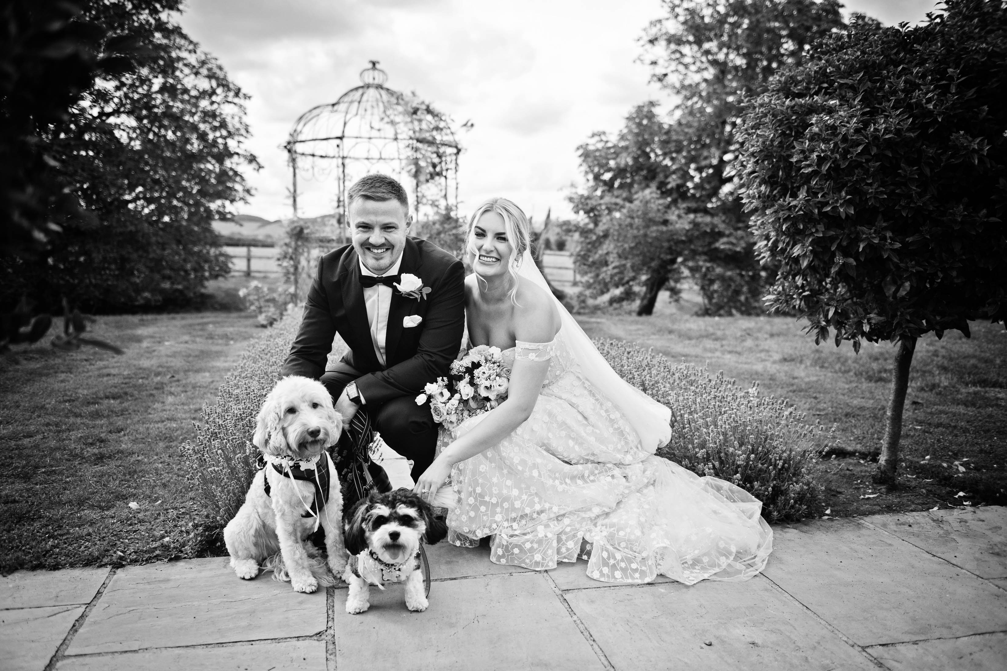 Black & White photograph of a bride and groom with their dog, tree's and a wedding arch behind them.