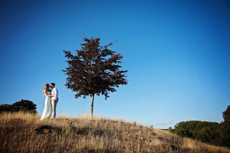 One tree hill at Kingscote Barn, Gloucestershire